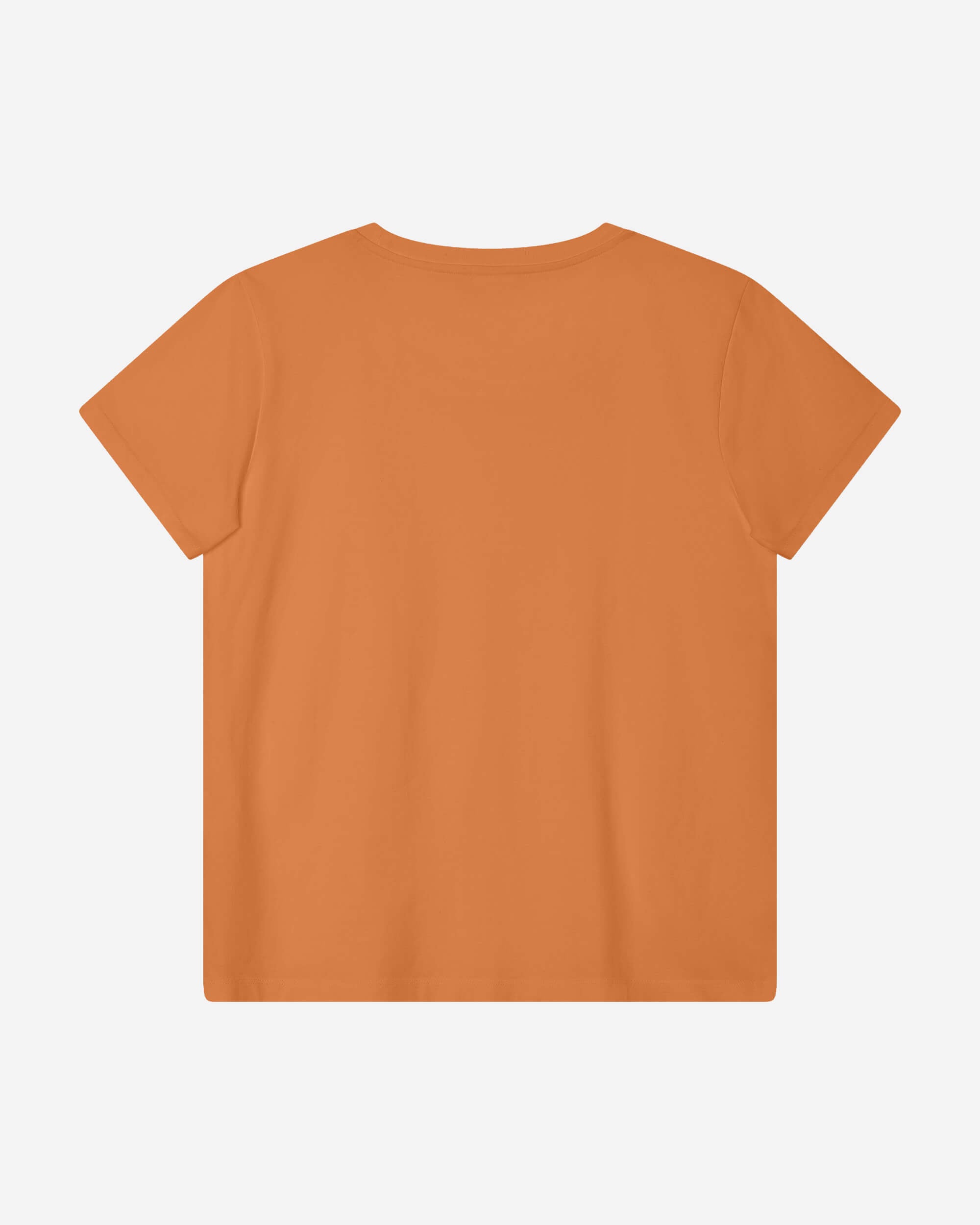 Core T-Shirt red earth